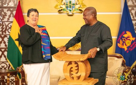 President John Dramani Mahama Bids Farewell to Outgoing US Ambassador Virginia Palmer