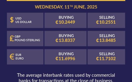 Cedi Shows Stability as Bank of Ghana Releases Daily Exchange Rates – June 11, 2025