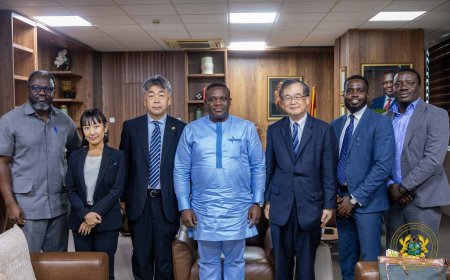Ghana, Japan Deepen Ties Ahead of Osaka Expo 2025