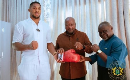 Anthony Joshua Pays Courtesy Call on President Mahama at Jubilee House