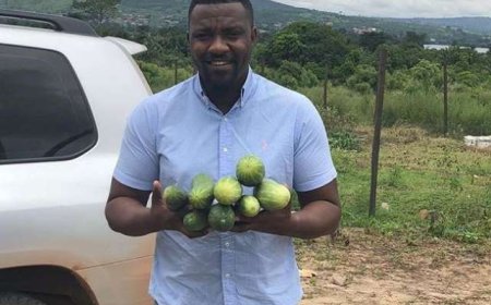 Take the Risk and Support Agriculture - John Dumelo Urges Financial Institutions
