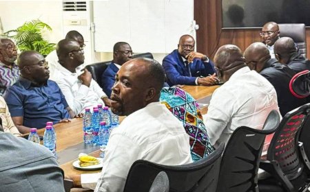 Over 60 NPP MPs Rally Behind Bawumia Ahead of 2026 Flagbearer Race