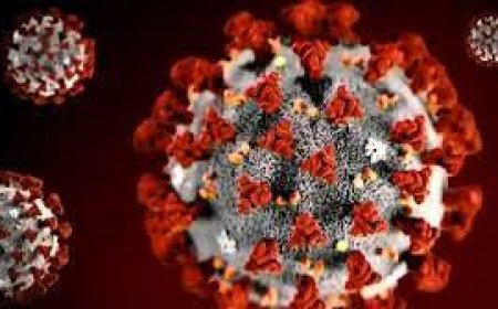 COVID-19 Cases Rise at University of Ghana, GHS Issues Fresh Safety Guidelines