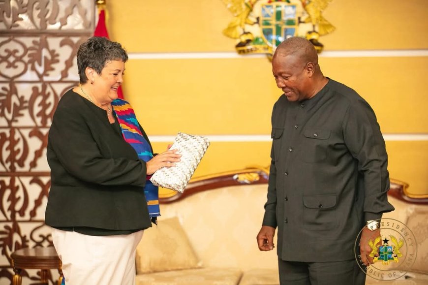 President John Dramani Mahama Bids Farewell to Outgoing US Ambassador Virginia Palmer