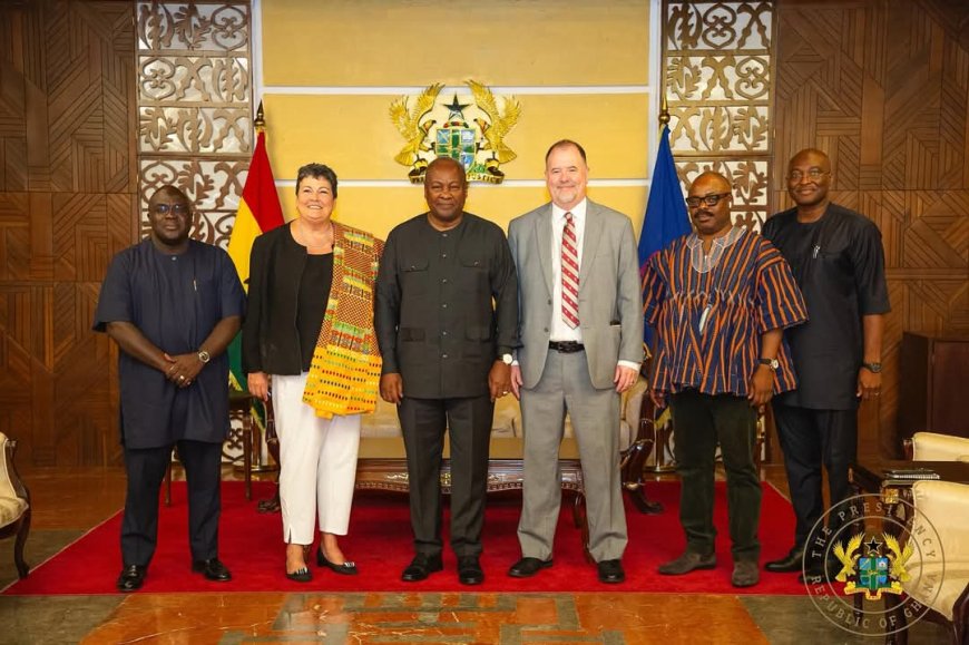 President John Dramani Mahama Bids Farewell to Outgoing US Ambassador Virginia Palmer