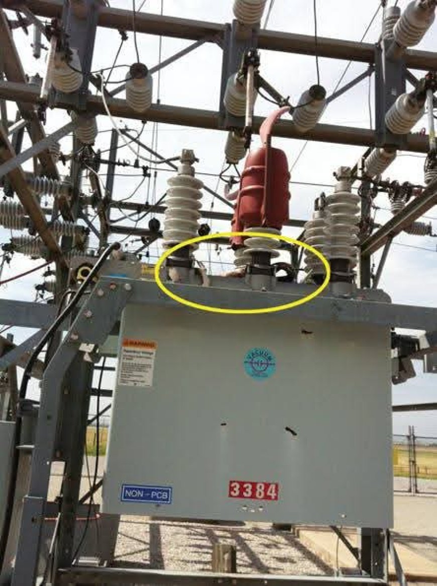 Snake Causes Power Outages Across Parts of Ashanti Region