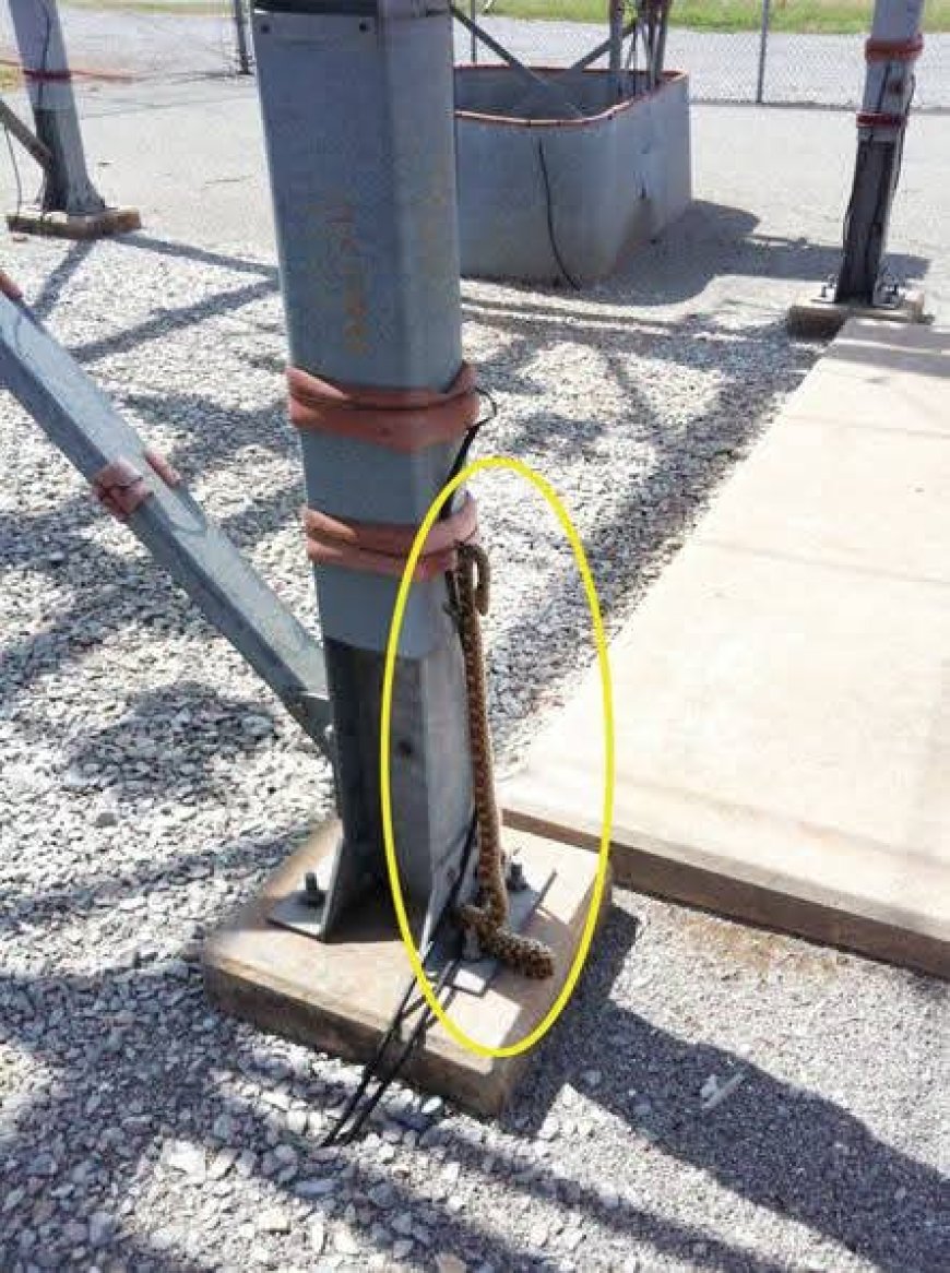 Snake Causes Power Outages Across Parts of Ashanti Region