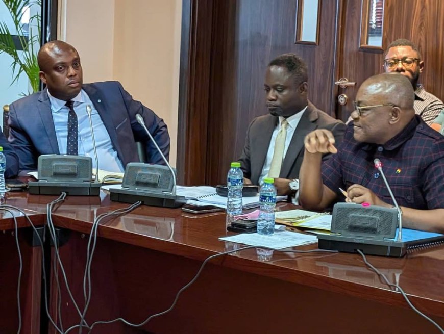 Parliamentary Health Committee Brokers Deal with GRNMA to End Strike