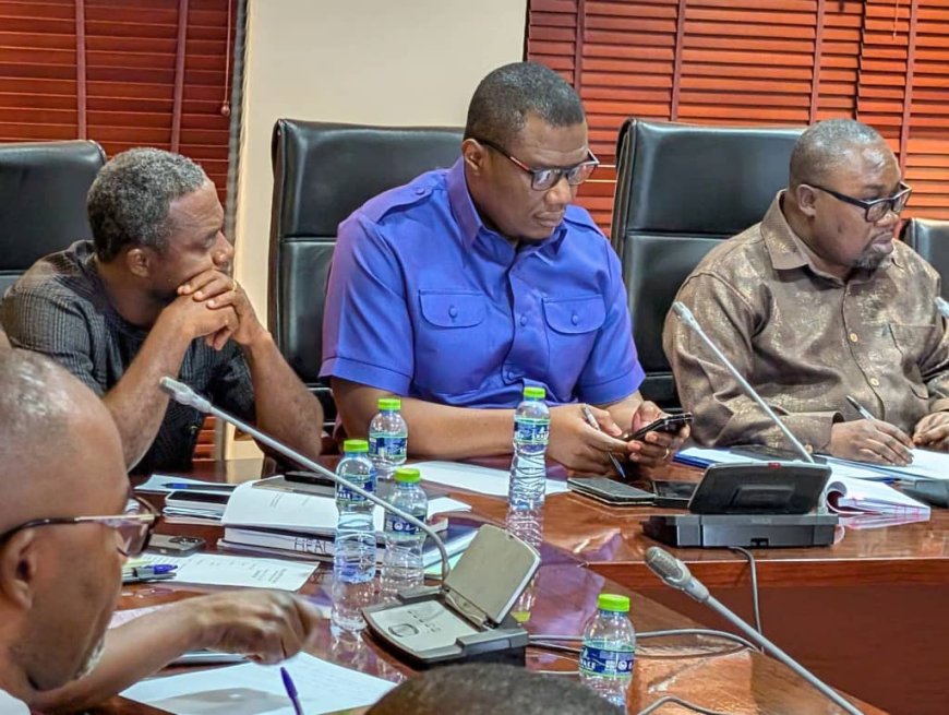 Parliamentary Health Committee Brokers Deal with GRNMA to End Strike