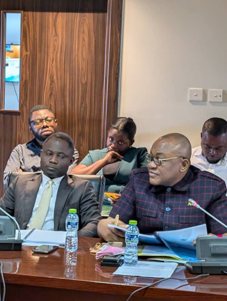 Parliamentary Health Committee Brokers Deal with GRNMA to End Strike