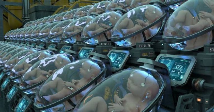 Japan Unveils World’s First Fully Functional Artificial Womb