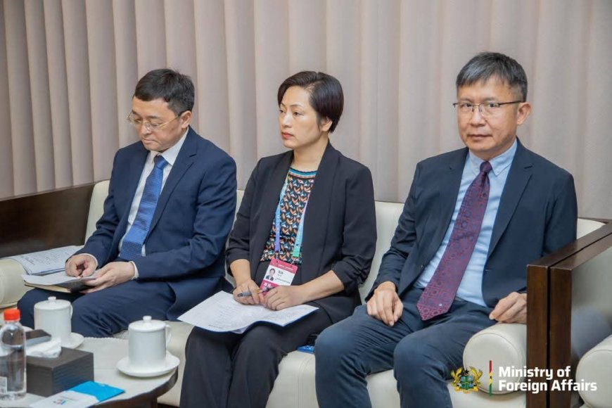 Ghana, Nanning Authorities Collaborate to Tackle Illegal Mining and Strengthen Diplomatic Ties