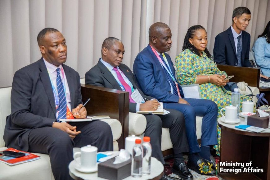 Ghana, Nanning Authorities Collaborate to Tackle Illegal Mining and Strengthen Diplomatic Ties