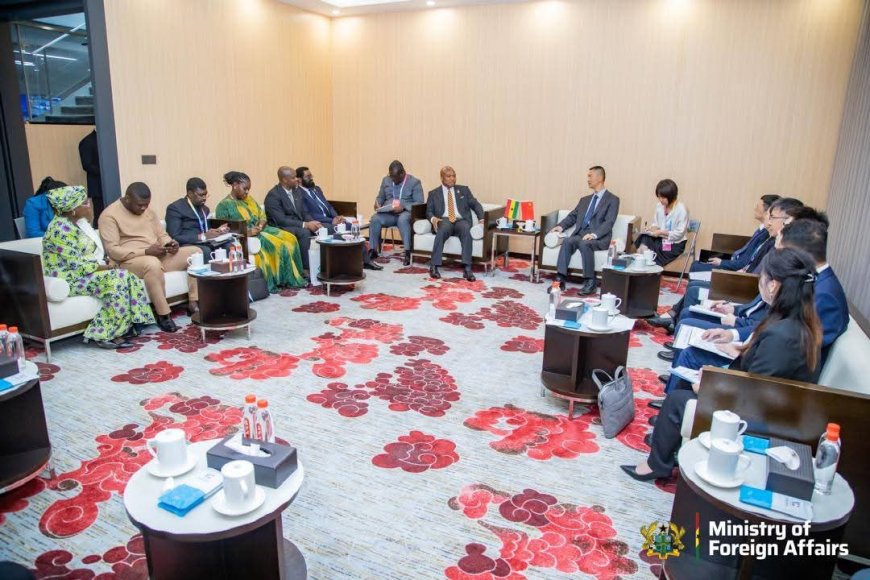Ghana, Nanning Authorities Collaborate to Tackle Illegal Mining and Strengthen Diplomatic Ties