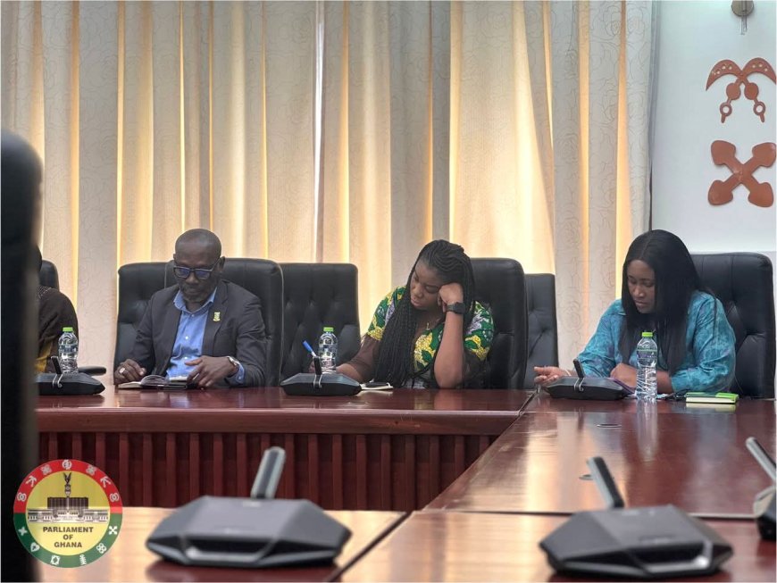 World Peace Advocates Call on Speaker Bagbin to Promote National Stability