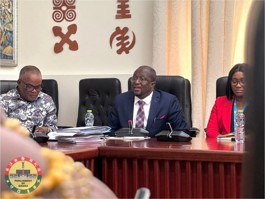 World Peace Advocates Call on Speaker Bagbin to Promote National Stability