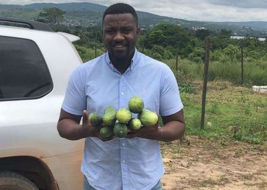 Take the Risk and Support Agriculture - John Dumelo Urges Financial Institutions