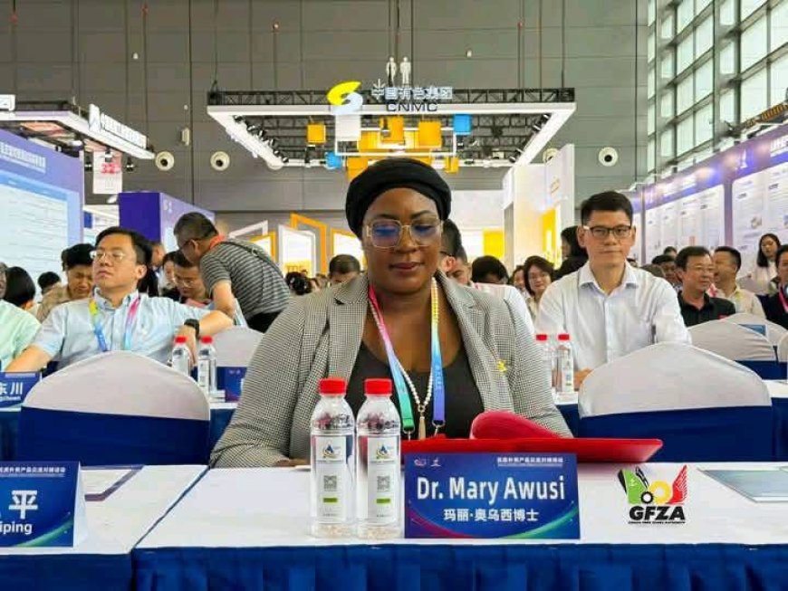 Ghana Free Zones Authority CEO Showcases Investment Opportunities at China-Africa Trade Expo