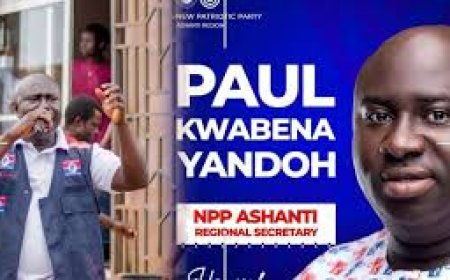 NPP’s Paul Yandoh Describes Appointment of Special Prosecutor as a Mistake