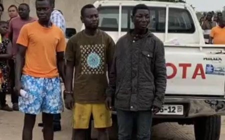 CID Uncovers Ritual Murder Site in Central Tongu; Five Bodies Including Child Exhumed at Gblorkope