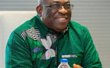 ADB Boss Applauds Government’s ‘Feed Ghana’ Programme, Pledges Strong Support