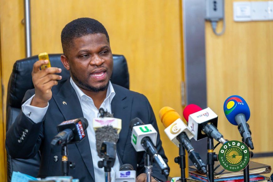 GoldBod Taskforce Arrests 10 Chinese Nationals in Major Gold Smuggling Bust