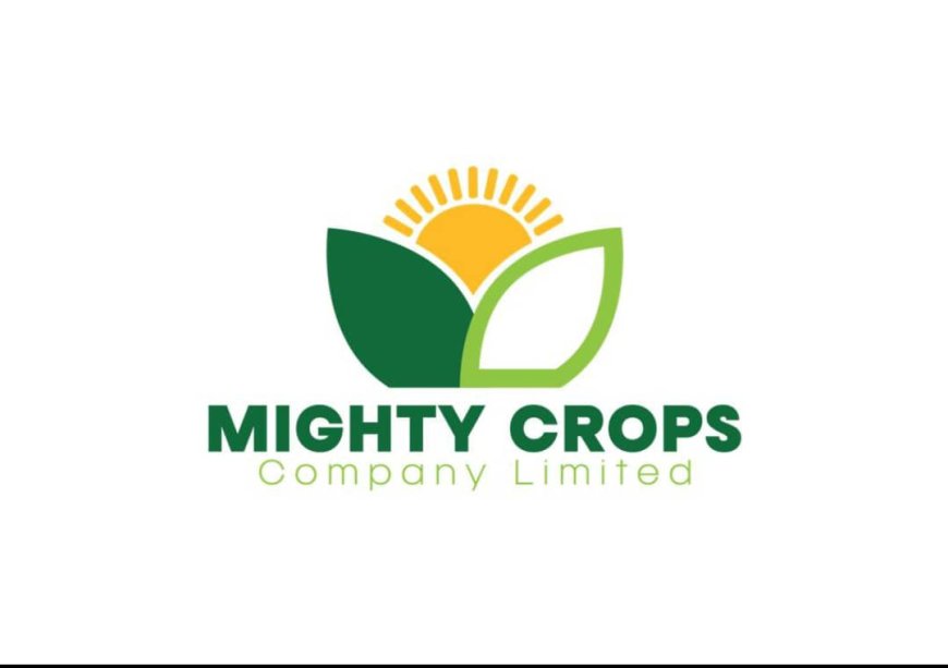 Mighty Crops and Gomoa East Agric Directorate Launch Maize and Cassava Growers Association to Boost Farmer Support
