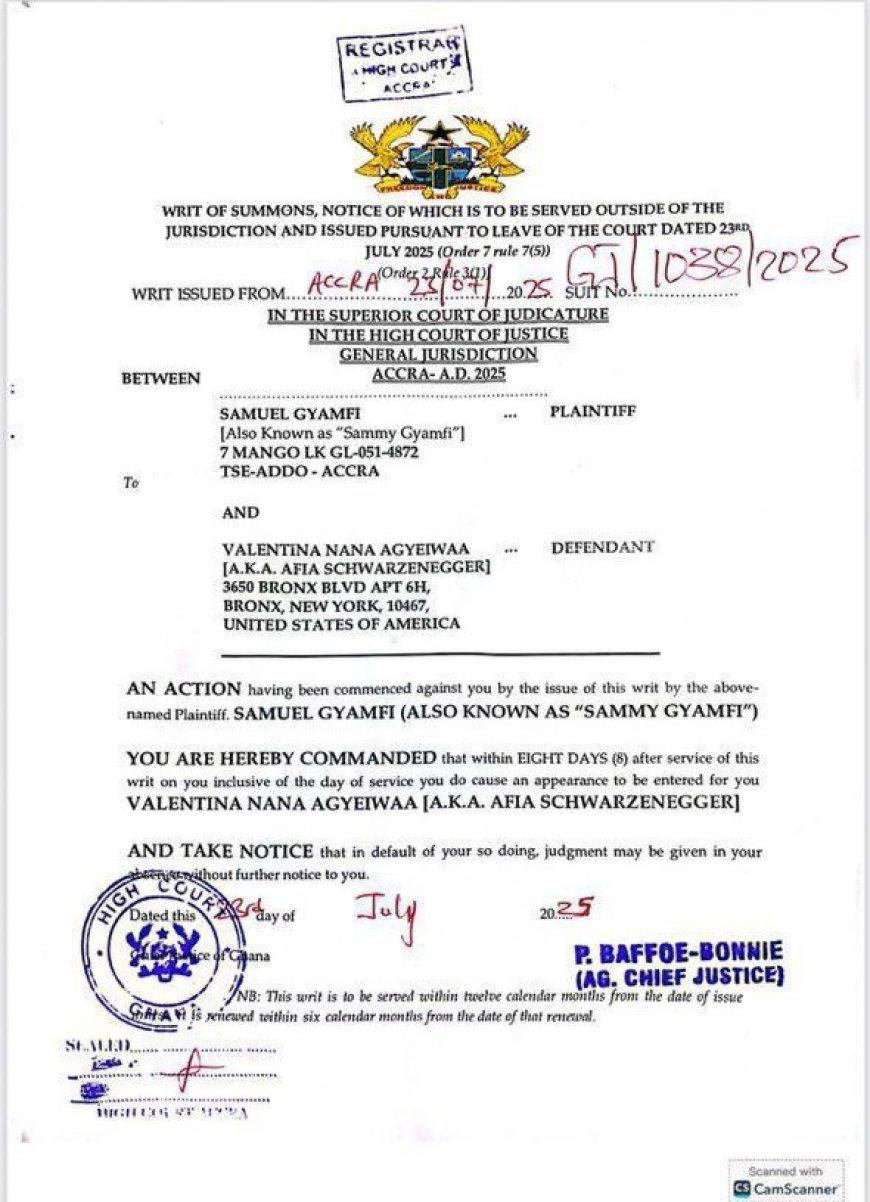 Sammy Gyamfi Sues Afia Schwarzenegger for GHS 10 Million Over Defamation Claims