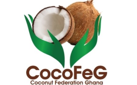 Mahama’s 3 Million Coconut Seedlings Initiative Set to Transform Ghana’s Agriculture and Export Sector