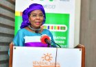 ECOWAS and SWEDD+ Countries Unite to Combat Gender-Based Violence in Senegal