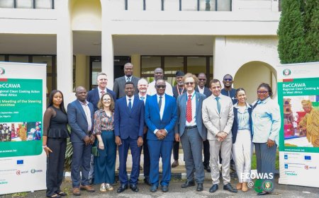 ECOWAS Holds Steering Committee Meeting on Regional Clean Cooking Programme