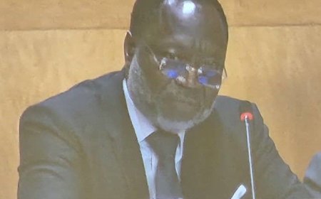 ECOWAS President Calls for Stronger Global Support for Peace and Inclusive Development at UN Summit