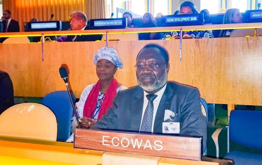 ECOWAS Reaffirms Commitment to Peace and Development at UN General Assembly