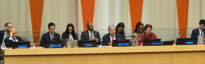 ECOWAS President Calls for Stronger Global Support for Peace and Inclusive Development at UN Summit