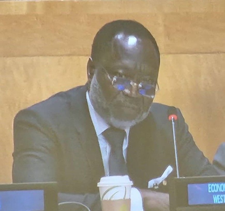 ECOWAS President Calls for Stronger Global Support for Peace and Inclusive Development at UN Summit